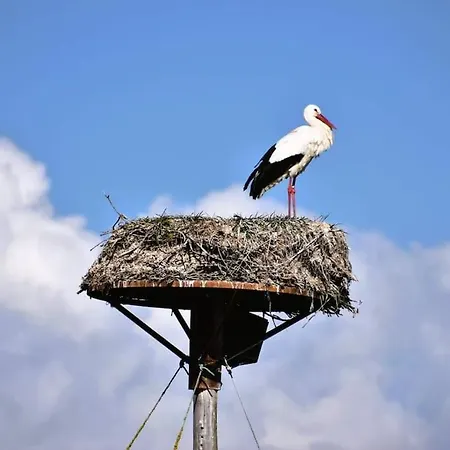Agreable Maison De Pecheur, Proche Ile D'oleron Bourcefranc